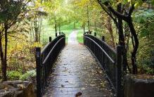 Walking Trail at 巴兰坦的 夏洛特